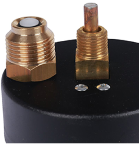 Термоманометр аксиальный Watts FR 818 (TMAX) 6 бар