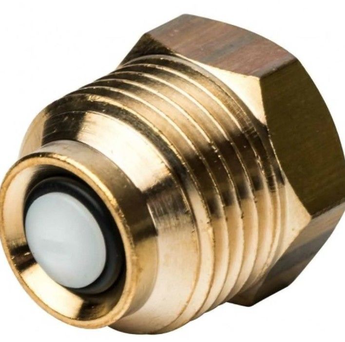 Термоманометр аксиальный Watts FR 818 (TMAX) 6 бар