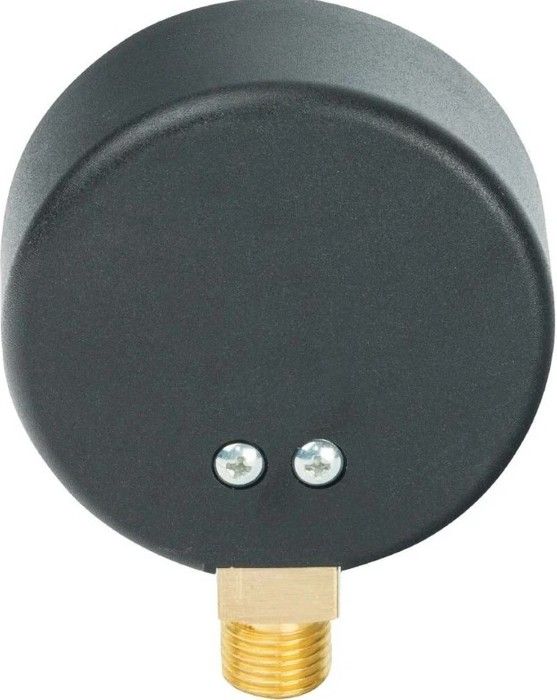 Термоманометр аксиальный Watts FR 818 (TMAX) 6 бар