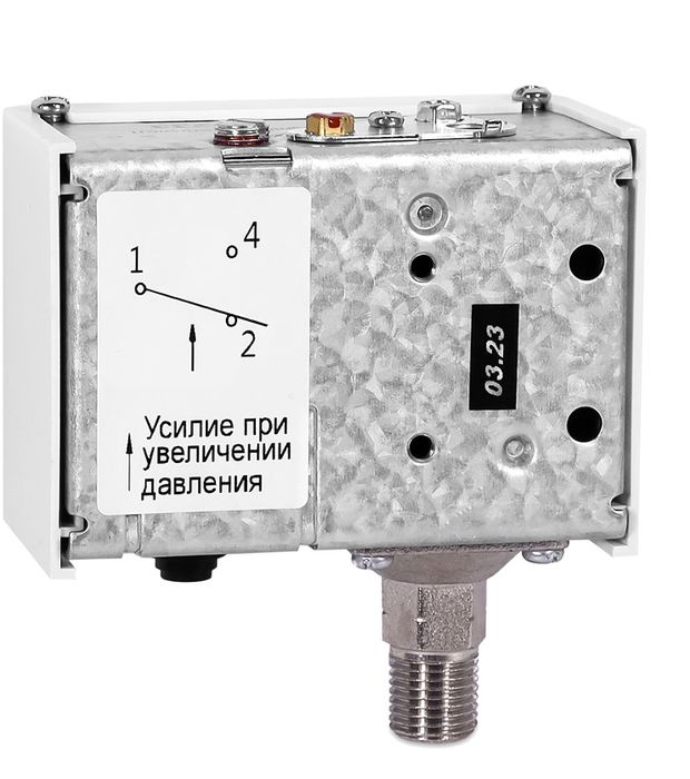 РОСМА РД-2Р-0,6МПа-G1/4 (-0,7...6 бар)
